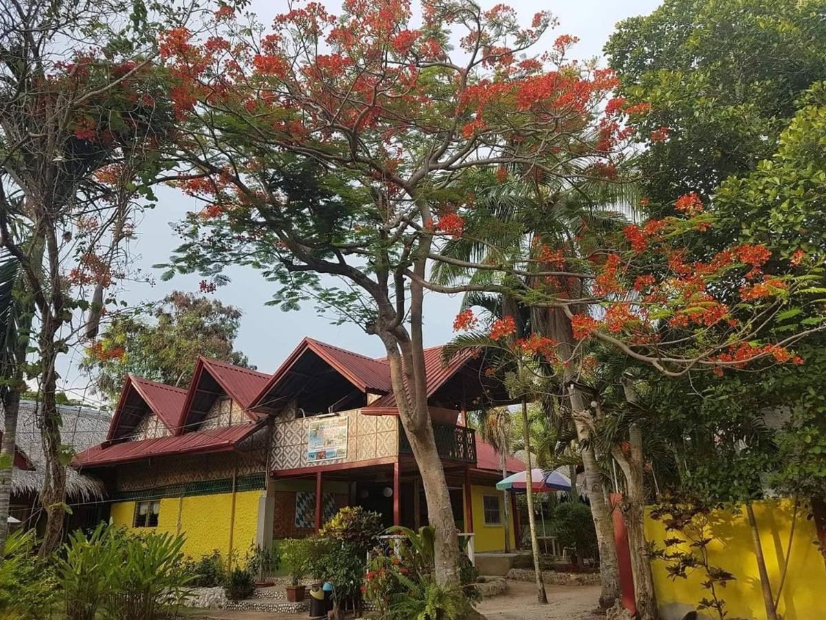 Traville Huts Palm Beach Inn ปางเลา ภายนอก รูปภาพ
