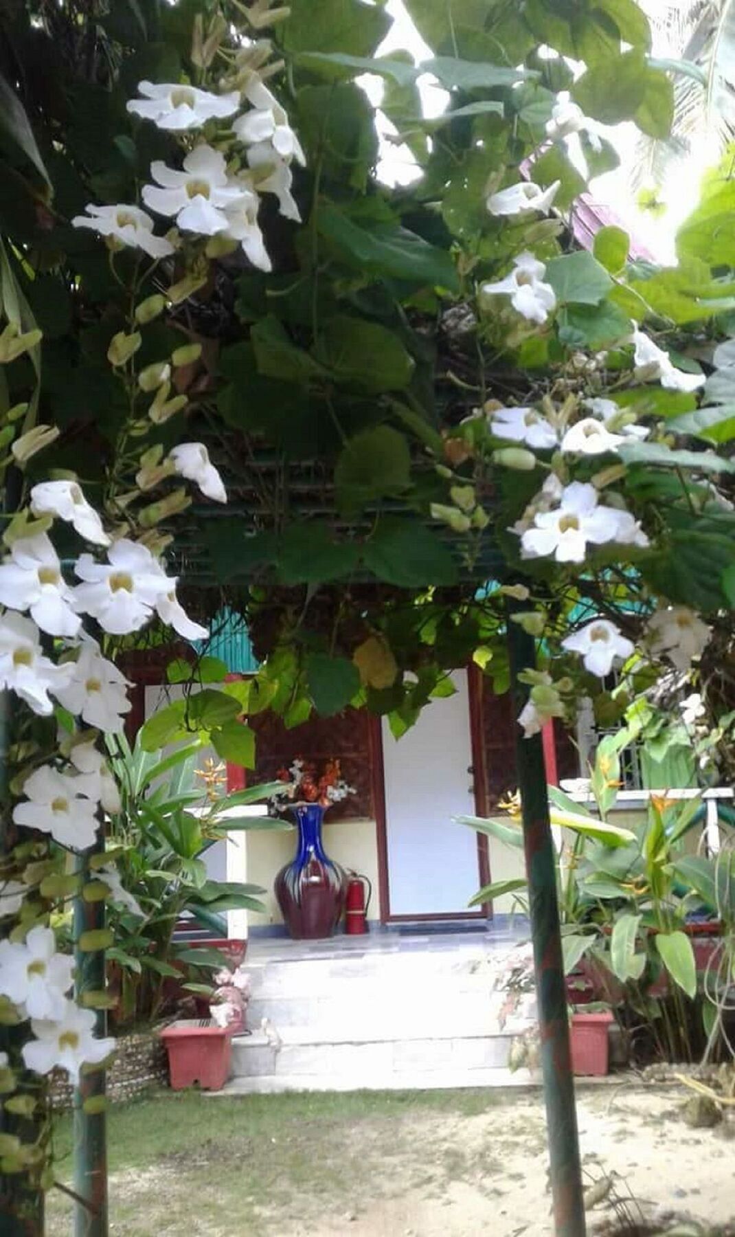 Traville Huts Palm Beach Inn ปางเลา ภายนอก รูปภาพ