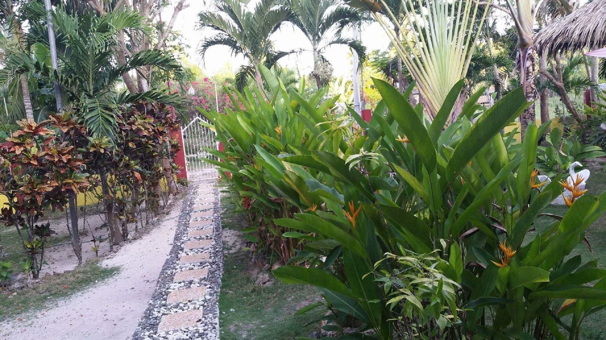 Traville Huts Palm Beach Inn ปางเลา ภายนอก รูปภาพ